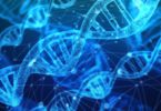 Adli Araştırmalarda Genetik Veri Tabanı Kullanımı