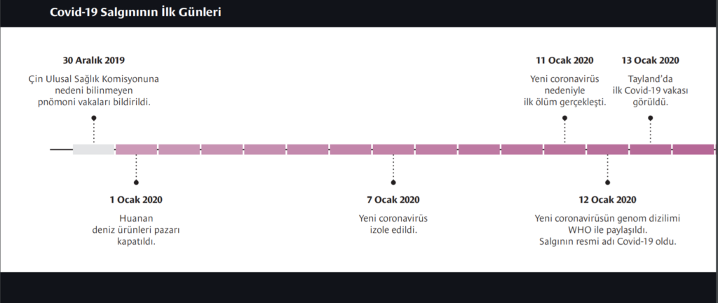 Covid-19 salgının ilk günden yaşanan olayları kronolojik sırası ile belirtiliyor.