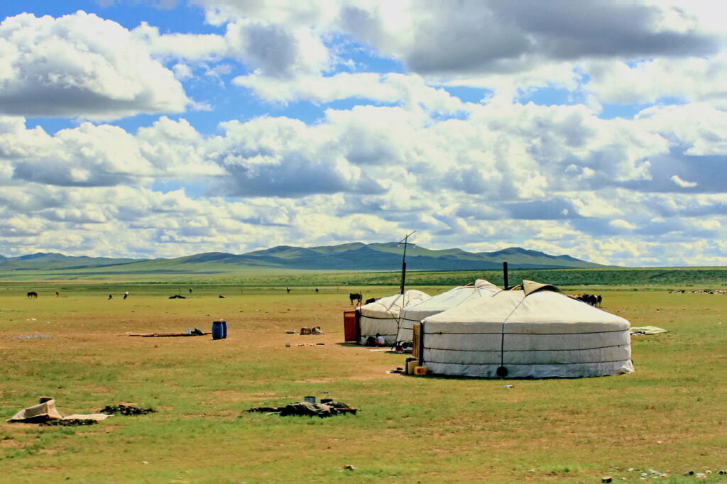 Moğollar yuvarlak çadırlarda kalmaktadırlar.
